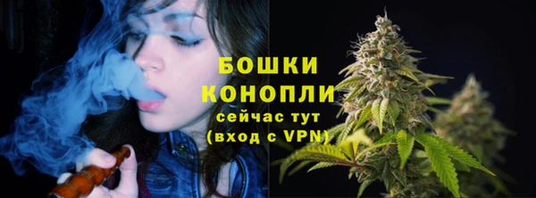 мдпв Дмитров