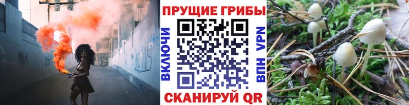 Псилоцибиновые грибы MAGIC MUSHROOMS  Новошахтинск 